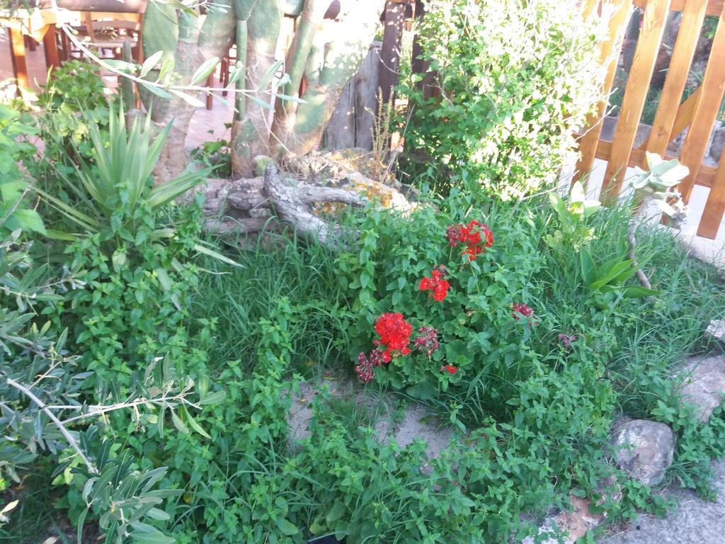 S'Arriali Ranch Pension Iglesias Buitenkant foto